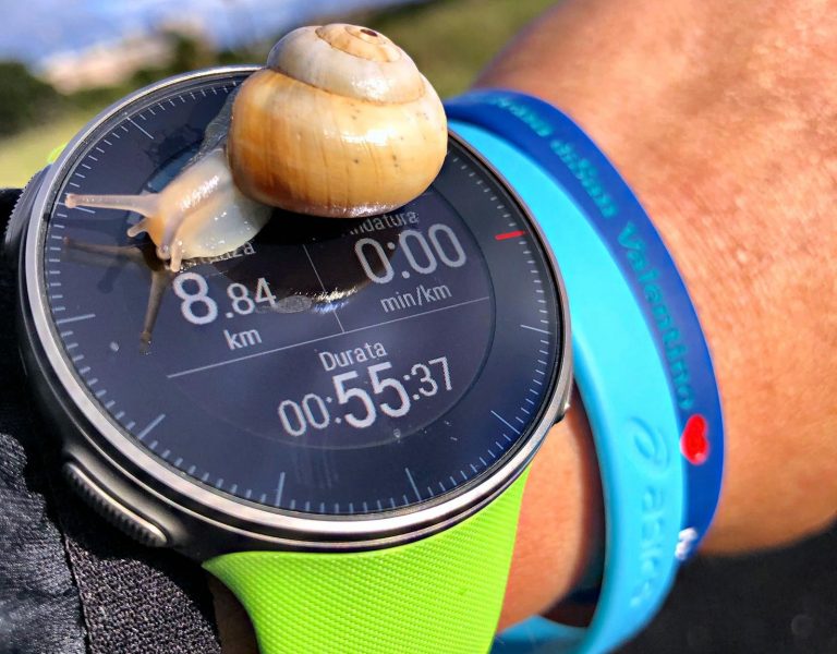 La Corsa Lenta e i suoi benefici The Running Pitt